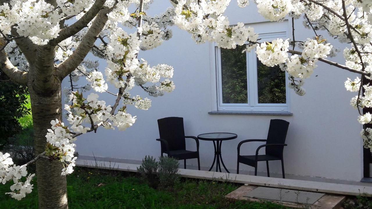 Apartment Greeny Galižana Kültér fotó